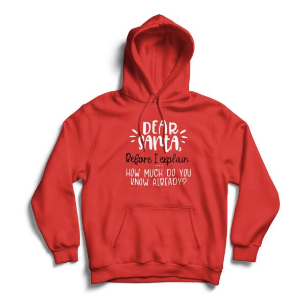 a Christmas hoodie sweatshirt for kids